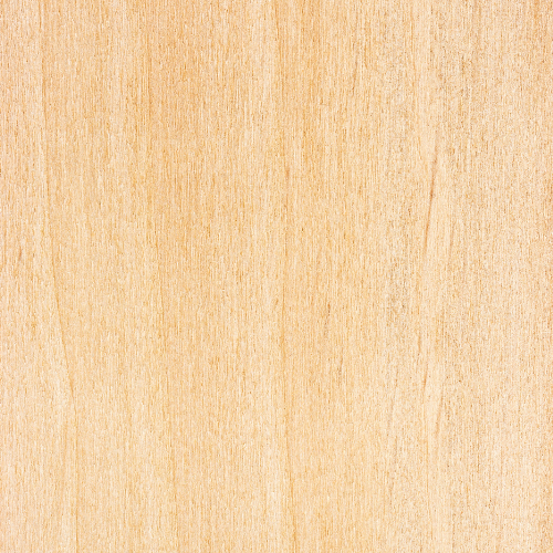 Textura de madera plywood